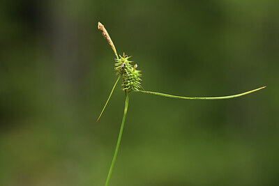 BUITEN BEELD Foto: 424984