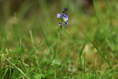 BUITEN BEELD Foto: 425009