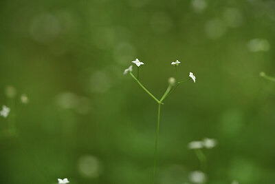 BUITEN BEELD Foto: 425029