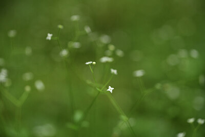 BUITEN BEELD Foto: 425030