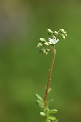 BUITEN BEELD Foto: 425047