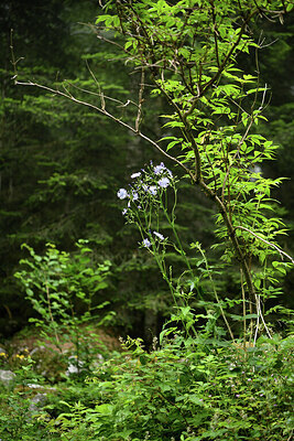 BUITEN BEELD Foto: 425048