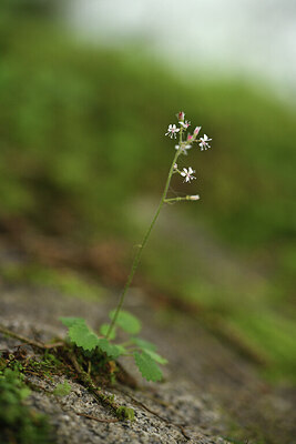 BUITEN BEELD Foto: 425056