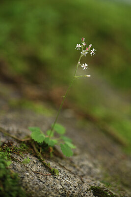 BUITEN BEELD Foto: 425057