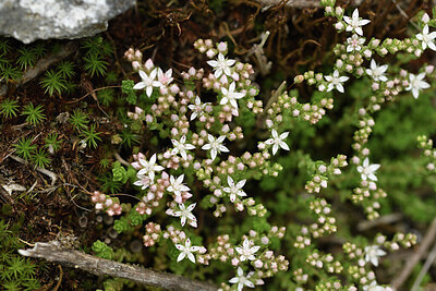 BUITEN BEELD Foto: 425066