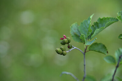 BUITEN BEELD Foto: 425093