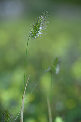 BUITEN BEELD Foto: 425106