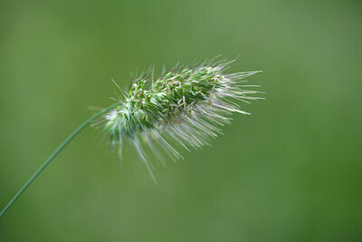 BUITEN BEELD Foto: 425118