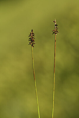 BUITEN BEELD Foto: 425142