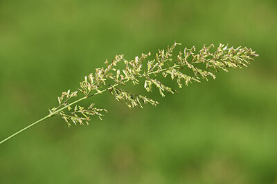 BUITEN BEELD Foto: 425180