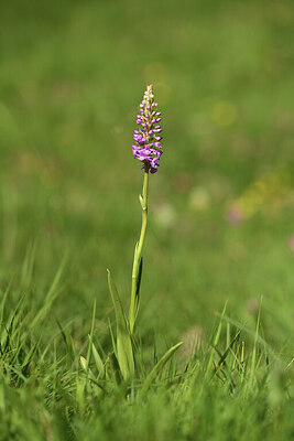 BUITEN BEELD Foto: 425182