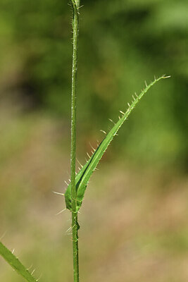 BUITEN BEELD Foto: 425201