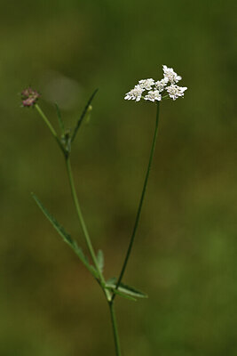 BUITEN BEELD Foto: 425220