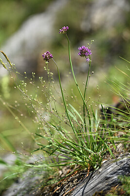 BUITEN BEELD Foto: 425229