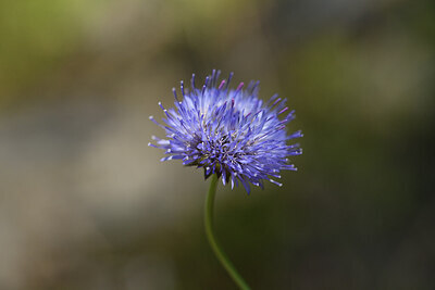 BUITEN BEELD Foto: 425245