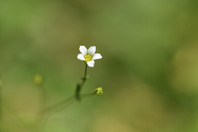 BUITEN BEELD Foto: 425270