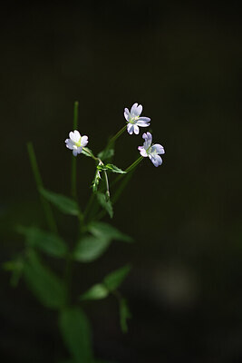 BUITEN BEELD Foto: 425279
