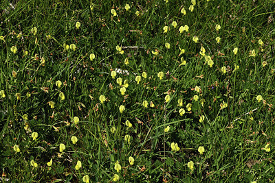 BUITEN BEELD Foto: 425309