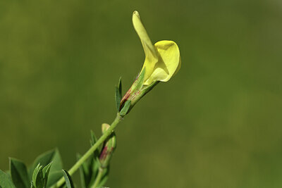 BUITEN BEELD Foto: 425313