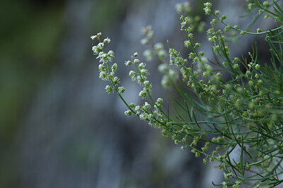 BUITEN BEELD Foto: 425335