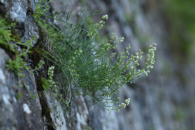 BUITEN BEELD Foto: 425337