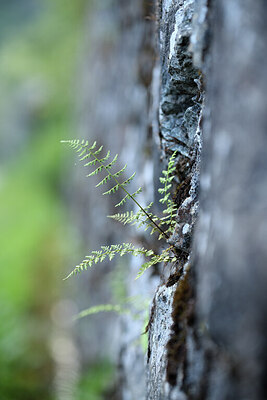 BUITEN BEELD Foto: 425342