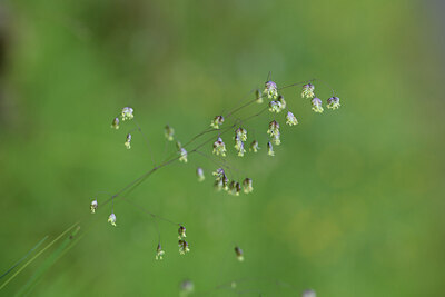 BUITEN BEELD Foto: 425354