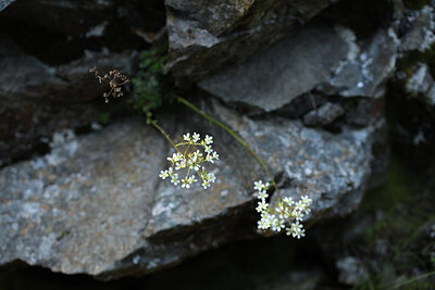 BUITEN BEELD Foto: 425360