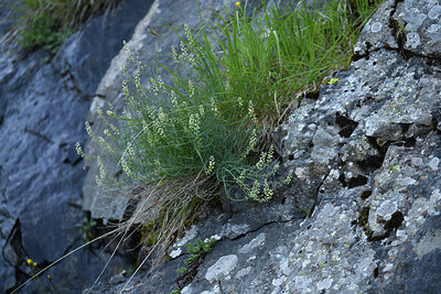 BUITEN BEELD Foto: 425364