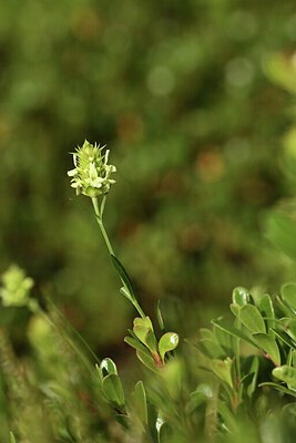 BUITEN BEELD Foto: 425374