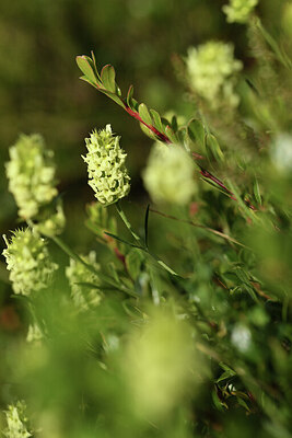 BUITEN BEELD Foto: 425375