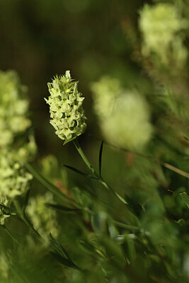 BUITEN BEELD Foto: 425376