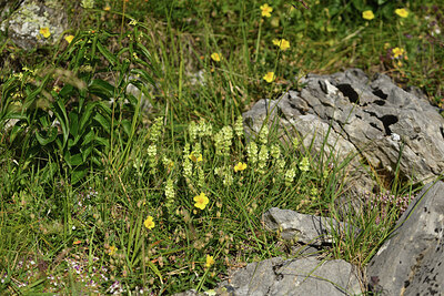 BUITEN BEELD Foto: 425389