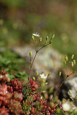 BUITEN BEELD Foto: 425401