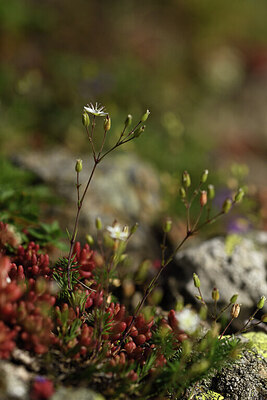 BUITEN BEELD Foto: 425402