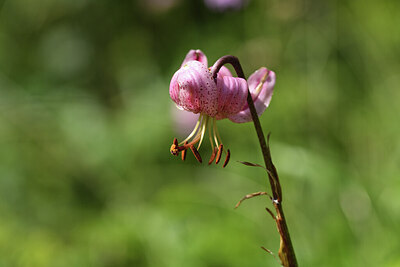 BUITEN BEELD Foto: 425410
