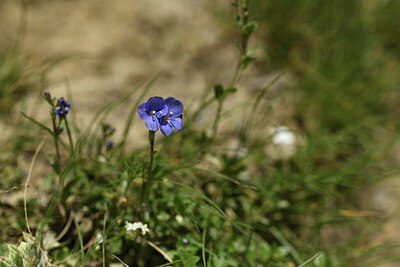 BUITEN BEELD Foto: 425412