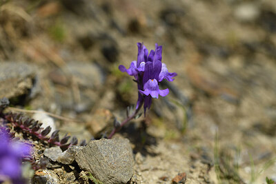 BUITEN BEELD Foto: 425415