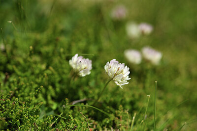 BUITEN BEELD Foto: 425417