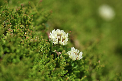 BUITEN BEELD Foto: 425421