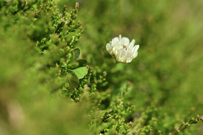 BUITEN BEELD Foto: 425422