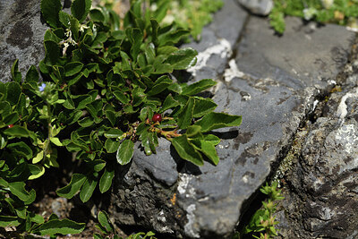 BUITEN BEELD Foto: 425434