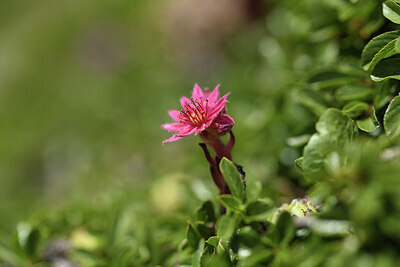 BUITEN BEELD Foto: 425438