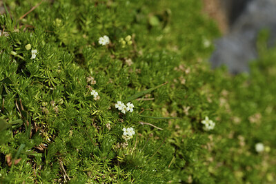 BUITEN BEELD Foto: 425447