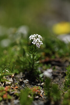 BUITEN BEELD Foto: 425454