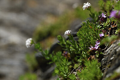 BUITEN BEELD Foto: 425455