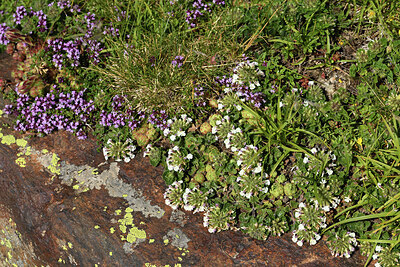 BUITEN BEELD Foto: 425461