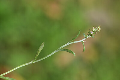 BUITEN BEELD Foto: 425479