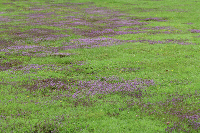 BUITEN BEELD Foto: 425480