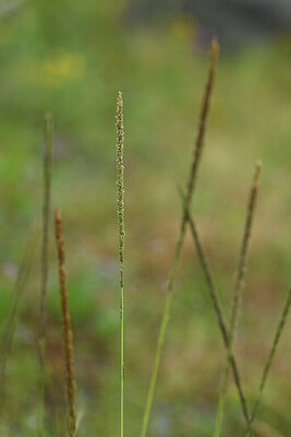 BUITEN BEELD Foto: 425495